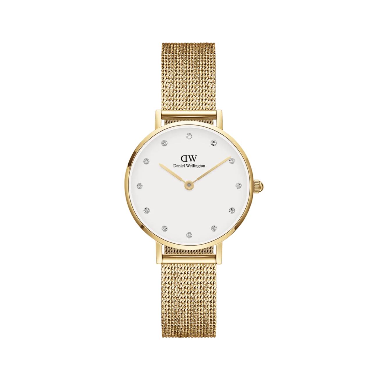 Featured image for “Daniel Wellington Petite DW00100604”