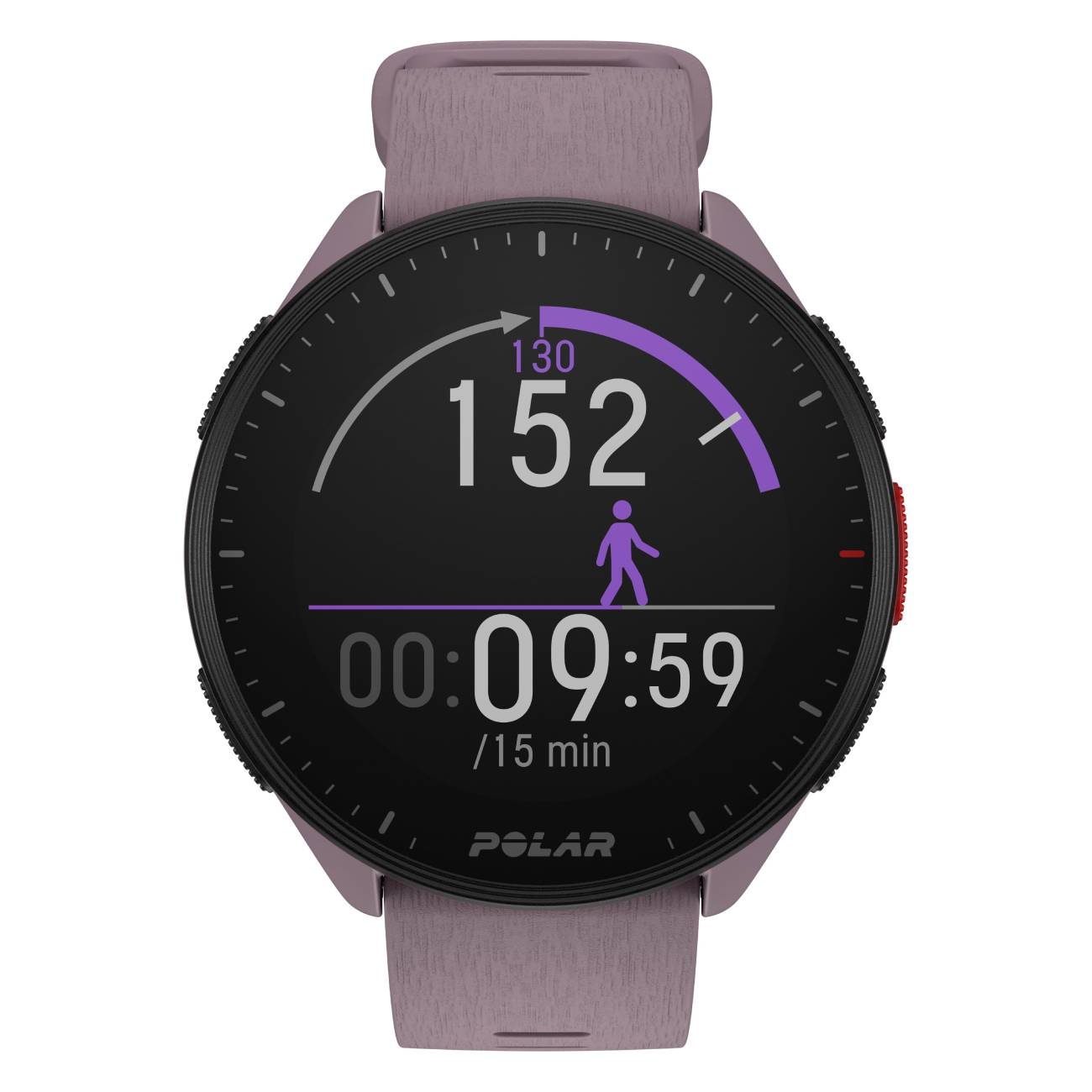 Featured image for “Polar Pacer Purple Dusk S/L”
